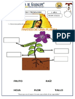 Examen de Ciencias