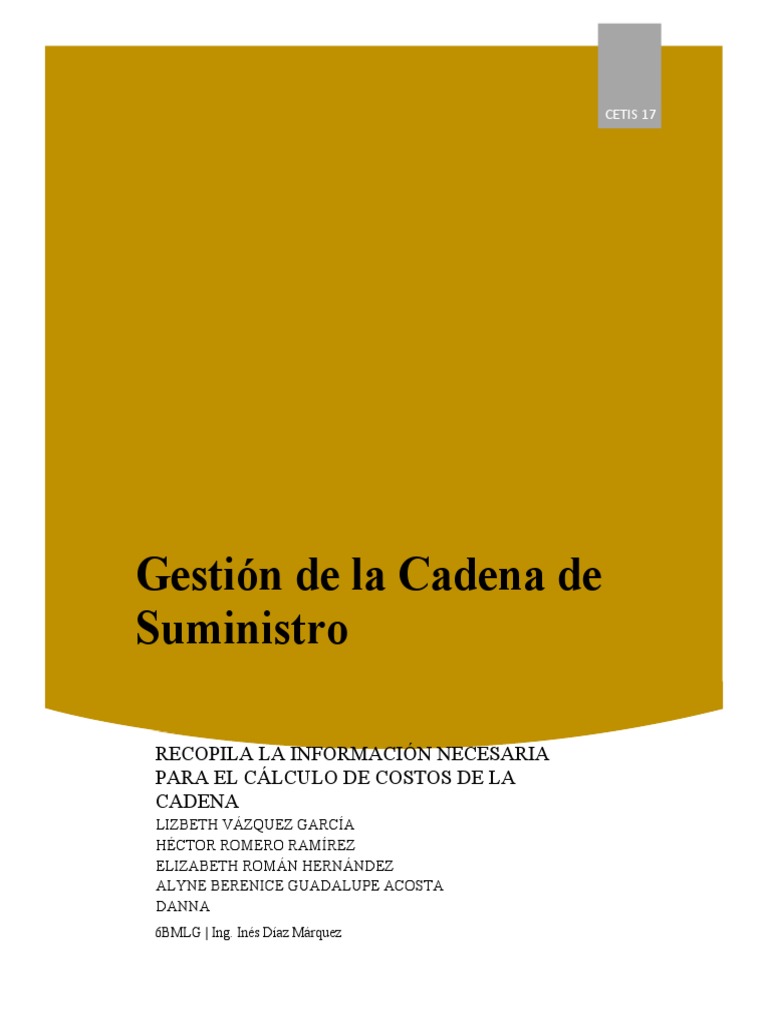 Gestión Eficiente de la Cadena de Suministro | PDF | Gestión de la ...