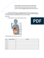 LKPD Sistem Pencernaan