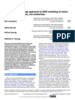 A Comparative Biology Approach To DNN Modeling of Vision: A Focus On Differences, Not Similarities