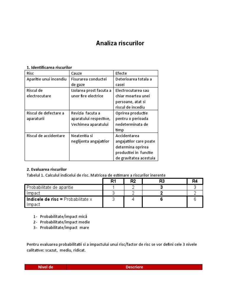 Analiza Riscurilor | PDF