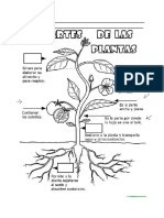 Ficha Flores y Plantas