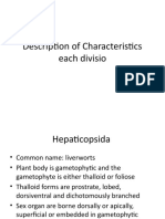 Description of Characteristics Each Divisio