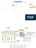 Mind Map - El Calentamiento