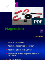 Phyins s20 Magnetism