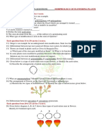 Kerala +1 Botany Focus Area Question Bank - Morphology of Flowering Plants