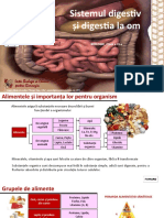 622. Sistemul Digestiv Si Digestia La Om