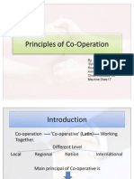 Principles of Co-Operation