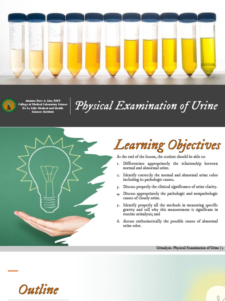 Physical Examination of Urine PDF Urine Medical Specialties