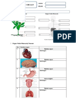 LKPD IPA Organ Dan Sistem Organ Kelas VII