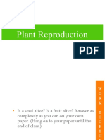 wk7-8  - Distinguish how spore-bearing and cone-bearing plants reproduce