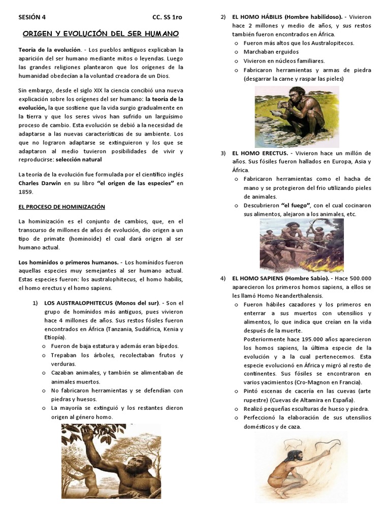 Origen y Evolución del Ser Humano | PDF | Homo | Paleolítico