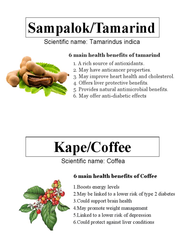 Sampalok/Tamarind Scientific Name Tamarindus Indica PDF Weight