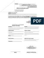 CEDULA RIVERA SOLDEVILLA - pdf-PROCESAL