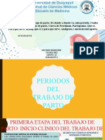 Periodos Del Trabajo de Parto