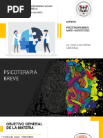 Psicoterapia Breve Mayo - Agosto 2022