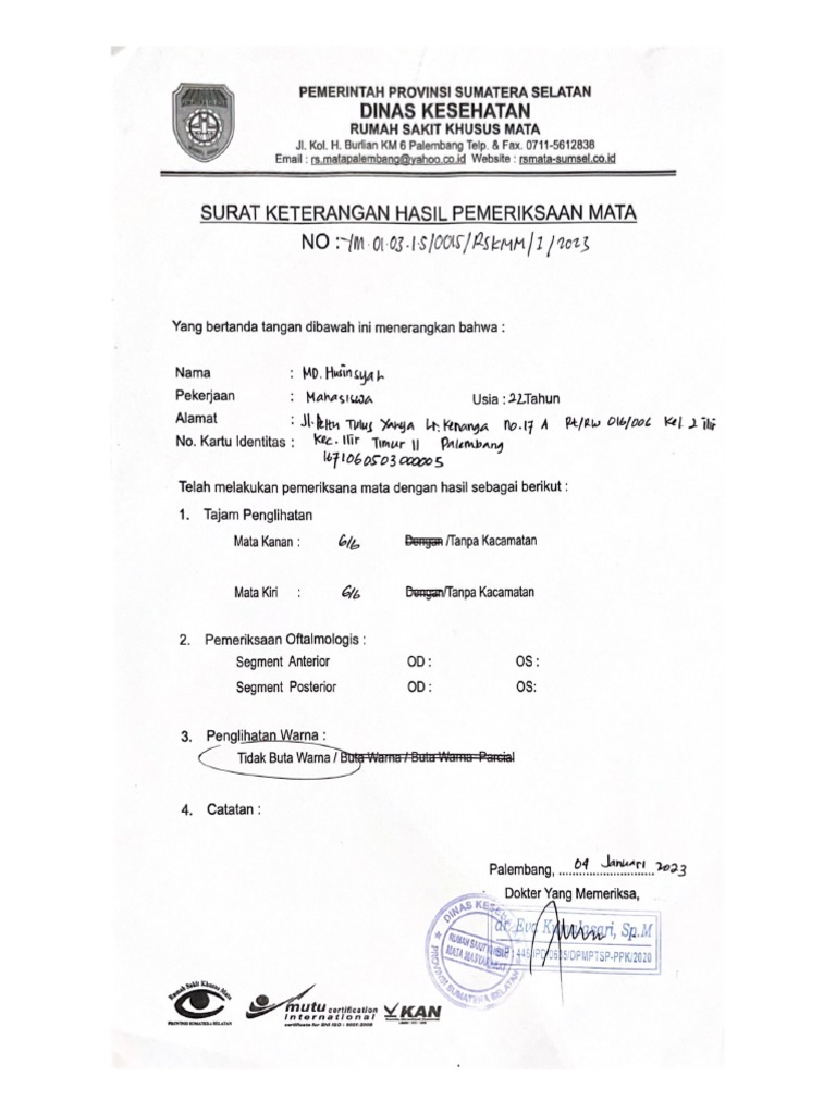 Pemerintah Provinsi Sumatera Selatan | PDF