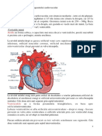 anatomie si semiologie cardio