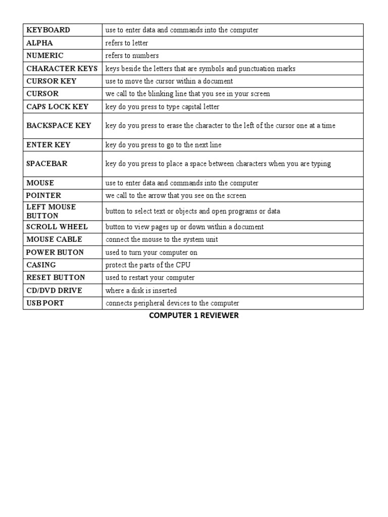Computer Input Devices Explained | PDF