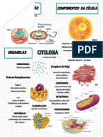 Classificação e componentes da célula
