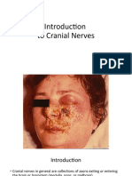 Cranial Nerves