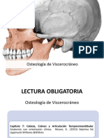 Clase 04 Osteologia Viscerocraneo