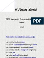 01 - Felső Végtag Ízületei-1