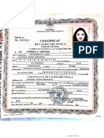 Cornea Cristina ID, Certification, Driving