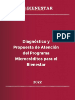 Diagnostico YPropuesta Atencion Microcreditos 2022