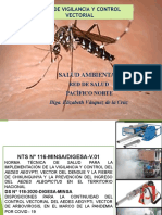 Diapositiva Dengue Para Ee.ss -2021 (1)