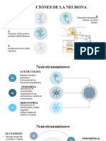 Neuron-Infographics-by-Slidesgo