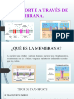 Transporte A Través de La Membrana