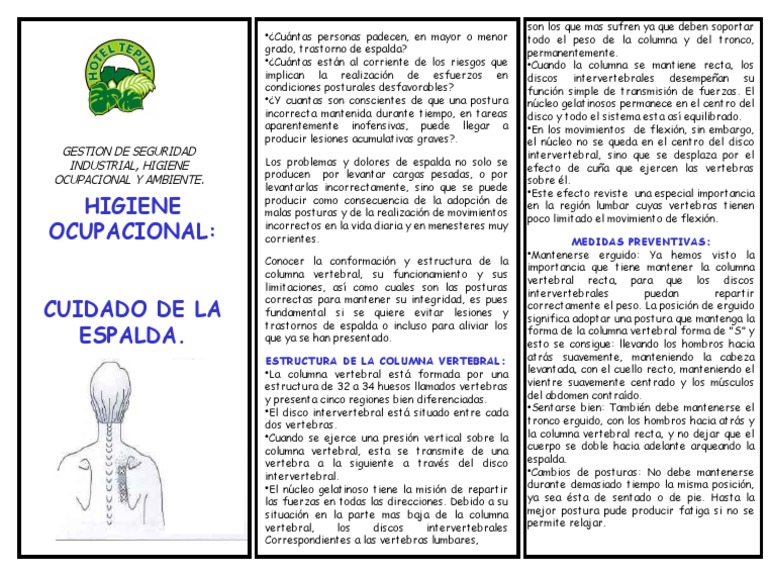 Cuidado de La Espalda | PDF | La columna vertebral | Vértebra