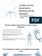 BIOLOGIA-PRESNTACION Sistema Endocrino