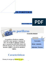 Los Poriferos