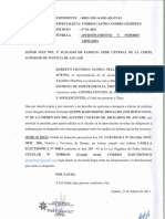 Barreto Figueroa Gloria Nelly - Apersonamiento y Nombro Abogado