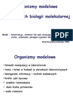 Wykład 2 I 3 - Organizmy Modelowe, Transkrypcja
