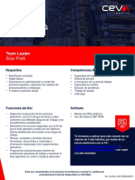 CEVA - Job - Posting - Template (002) - TEAM LEADER