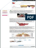 ANATOMÍA HUMANA - FUNCIONES NUTRICIÓN El Aparato Respiratorio - 2 Parte