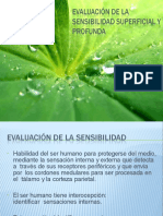 Evalaucion Sensorial