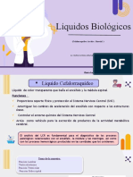 Liquidos Biologicos.