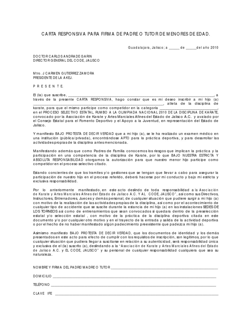 CARTA RESPONSIVA
