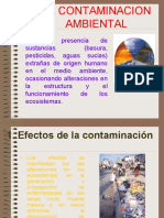 La Contaminacion Ambiental 160116173010 1