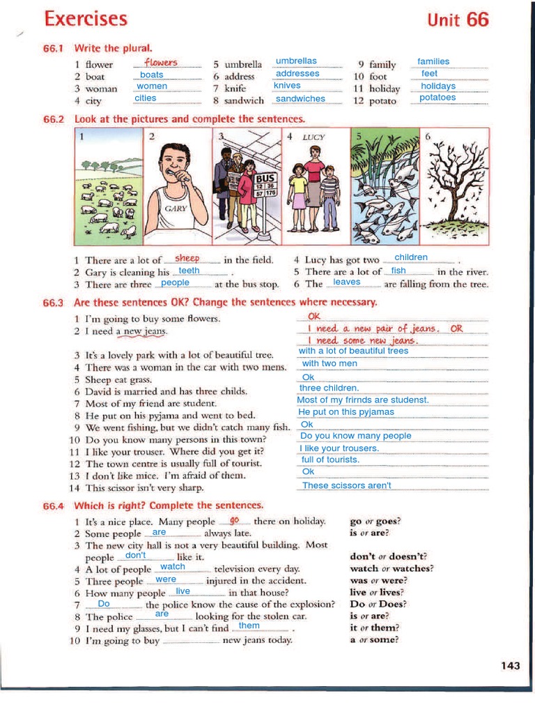 singular-and-plural-exercises-pdf