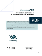 IU_020-Ed00-Ene17-Bordetella-pertussis-B.-parapertussis-B.holmesii