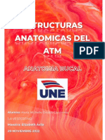 Estructuras Anatomicas Del ATM