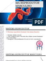 Sistema Odutorascuo e Feminino Oficial-1