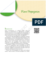Plant Propagation Methods Explained