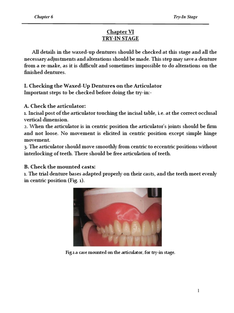 Chapter 6 Try in PDF Dentures Dentistry Branches