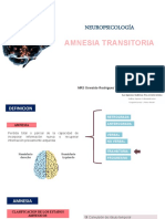 Amnesia transitoria: causas y clasificación
